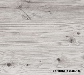 АСАЯ Кухонный гарнитур Экстра 2 (3000 мм) ПМ в Красноуральске - krasnouralsk.ok-mebel.com | фото 8