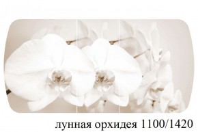 БОСТОН - 3 Стол раздвижной Лунная орхидея 1100/1420 опоры Триумф в Красноуральске - krasnouralsk.ok-mebel.com | фото 3