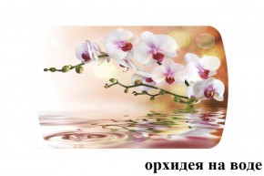 БОСТОН - 3 Стол раздвижной Орхидея на воде 1100/1420 опоры Триумф в Красноуральске - krasnouralsk.ok-mebel.com | фото 2