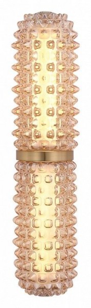 Бра ST-Luce SAGUARO SL6144.301.01 в Красноуральске - krasnouralsk.ok-mebel.com | фото 3