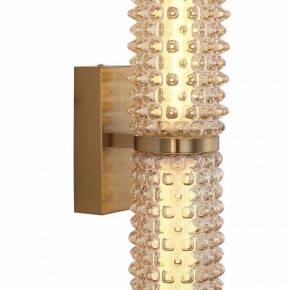 Бра ST-Luce SAGUARO SL6144.301.01 в Красноуральске - krasnouralsk.ok-mebel.com | фото 6
