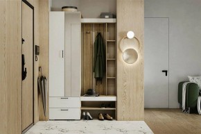 Гарнитур для прихожей Торонто в Красноуральске - krasnouralsk.ok-mebel.com | фото 5