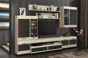 Гостиная Камелия Композиция 4 (Ясень Асахи комбинированный) в Красноуральске - krasnouralsk.ok-mebel.com | фото