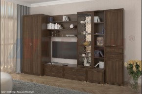 Гостиная Карина Композиция 11 (Акация Молдау) в Красноуральске - krasnouralsk.ok-mebel.com | фото
