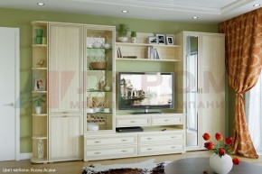 Гостиная Карина Композиция 20 (Ясень Асахи) в Красноуральске - krasnouralsk.ok-mebel.com | фото