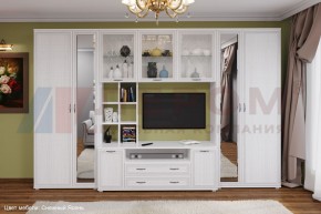 Гостиная Карина Композиция 6 (Снежный ясень) в Красноуральске - krasnouralsk.ok-mebel.com | фото