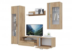 Гостиная Омега (Крафт золотой-Бетон) в Красноуральске - krasnouralsk.ok-mebel.com | фото 4