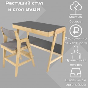 Комплект растущий стол и стул с чехлом 38 попугаев «Вуди» (Серый, Без покрытия, Серый) в Красноуральске - krasnouralsk.ok-mebel.com | фото