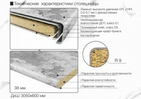 Кухонный фартук со столешницей (А-01) в едином стиле (3050 мм) в Красноуральске - krasnouralsk.ok-mebel.com | фото 6