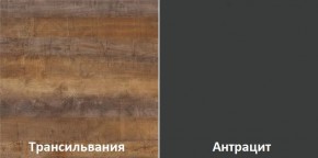Кухонный гарнитур угловой Трансильвания 2600х1600 мм (Стол. 38 мм) в Красноуральске - krasnouralsk.ok-mebel.com | фото 3