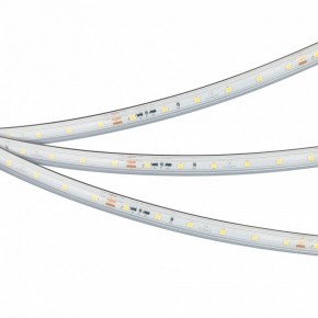 Лента светодиодная Arlight IC-PS-A60-10mm 24V 050656 в Красноуральске - krasnouralsk.ok-mebel.com | фото