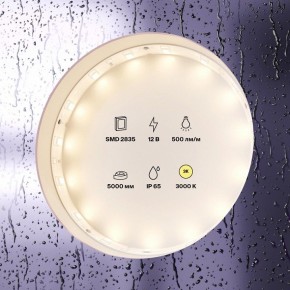 Лента светодиодная Maytoni Led strip 10105 в Красноуральске - krasnouralsk.ok-mebel.com | фото 2