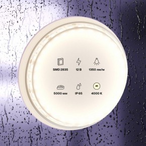 Лента светодиодная Maytoni Led strip 10118 в Красноуральске - krasnouralsk.ok-mebel.com | фото 2