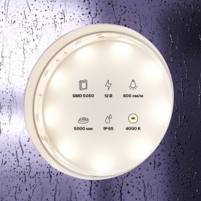 Лента светодиодная Maytoni Led strip 10124 в Красноуральске - krasnouralsk.ok-mebel.com | фото 2