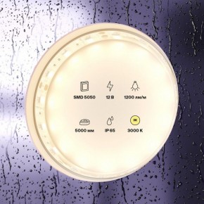 Лента светодиодная Maytoni Led strip 10131 в Красноуральске - krasnouralsk.ok-mebel.com | фото 3
