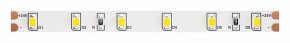 Лента светодиодная Maytoni Led strip 10138 в Красноуральске - krasnouralsk.ok-mebel.com | фото