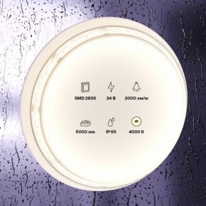 Лента светодиодная Maytoni Led strip 10158 в Красноуральске - krasnouralsk.ok-mebel.com | фото 2
