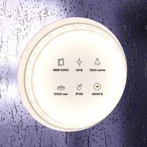Лента светодиодная Maytoni Led strip 10172 в Красноуральске - krasnouralsk.ok-mebel.com | фото 2
