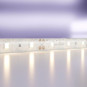 Лента светодиодная Maytoni Led strip 20005 в Красноуральске - krasnouralsk.ok-mebel.com | фото