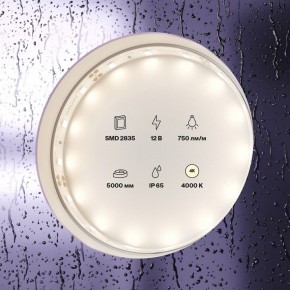 Лента светодиодная Maytoni Led strip 20005 в Красноуральске - krasnouralsk.ok-mebel.com | фото 2