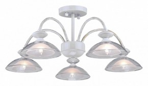 Люстра на штанге Arti Lampadari Noventa Noventa E 1.1.5 W в Красноуральске - krasnouralsk.ok-mebel.com | фото