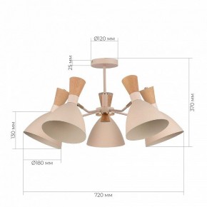 Люстра на штанге EVOLUCE VISTA SLE1256-502-05 в Красноуральске - krasnouralsk.ok-mebel.com | фото 8