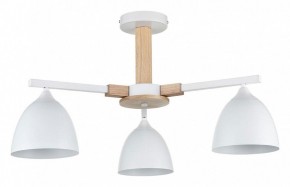 Люстра на штанге Lumion Colange 8095/3C в Красноуральске - krasnouralsk.ok-mebel.com | фото
