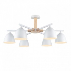 Люстра на штанге Lumion Colange 8095/6C в Красноуральске - krasnouralsk.ok-mebel.com | фото 2