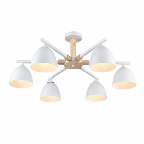 Люстра на штанге Lumion Colange 8095/6C в Красноуральске - krasnouralsk.ok-mebel.com | фото 3