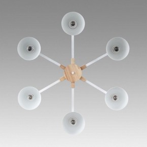 Люстра на штанге Lumion Colange 8095/6C в Красноуральске - krasnouralsk.ok-mebel.com | фото 4