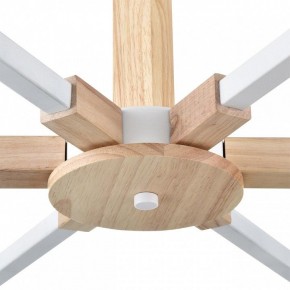 Люстра на штанге Lumion Colange 8095/6C в Красноуральске - krasnouralsk.ok-mebel.com | фото 7