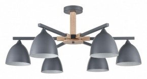 Люстра на штанге Lumion Colange 8096/6C в Красноуральске - krasnouralsk.ok-mebel.com | фото