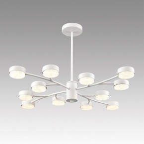 Люстра на штанге Lumion TORINA 8265/12 в Красноуральске - krasnouralsk.ok-mebel.com | фото 3