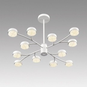 Люстра на штанге Lumion TORINA 8265/12 в Красноуральске - krasnouralsk.ok-mebel.com | фото 5