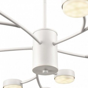 Люстра на штанге Lumion TORINA 8265/15 в Красноуральске - krasnouralsk.ok-mebel.com | фото 8