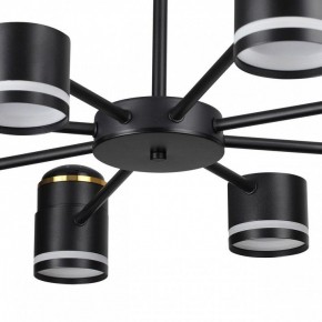 Люстра на штанге Lumion Virsava 8234/8C в Красноуральске - krasnouralsk.ok-mebel.com | фото 10