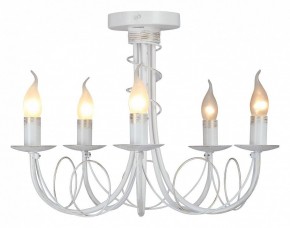 Люстра на штанге Vitaluce V3035 V3035-0/5PL в Красноуральске - krasnouralsk.ok-mebel.com | фото 2