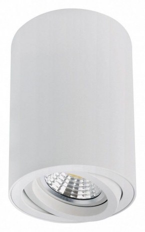 Накладной светильник Arte Lamp Sentry A1566PL-1WH в Красноуральске - krasnouralsk.ok-mebel.com | фото