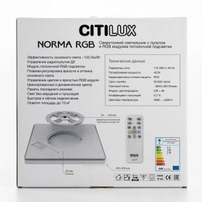 Накладной светильник Citilux Norma CL749K301 в Красноуральске - krasnouralsk.ok-mebel.com | фото 10