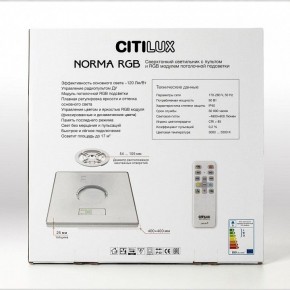 Накладной светильник Citilux Norma CL749K400 в Красноуральске - krasnouralsk.ok-mebel.com | фото 17