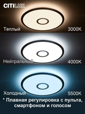 Накладной светильник Citilux Старлайт Смарт CL703A43G в Красноуральске - krasnouralsk.ok-mebel.com | фото 3