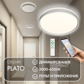 Накладной светильник Denkirs PLATO DK6511-WH/1 в Красноуральске - krasnouralsk.ok-mebel.com | фото 4