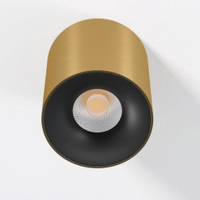 Накладной светильник Elektrostandard Primo 25116/LED в Красноуральске - krasnouralsk.ok-mebel.com | фото