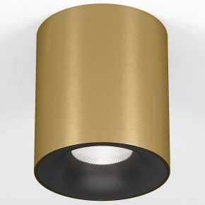 Накладной светильник Elektrostandard Primo 25116/LED в Красноуральске - krasnouralsk.ok-mebel.com | фото 2
