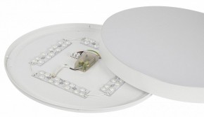 Накладной светильник Эра Relict Relict 48 Pult SPB-6-60-RC WH в Красноуральске - krasnouralsk.ok-mebel.com | фото 11