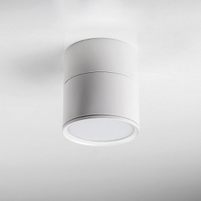 Накладной светильник Lightstar Acuto 215886 в Красноуральске - krasnouralsk.ok-mebel.com | фото 3