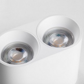 Накладной светильник Lightstar Rullo 213466 в Красноуральске - krasnouralsk.ok-mebel.com | фото 6