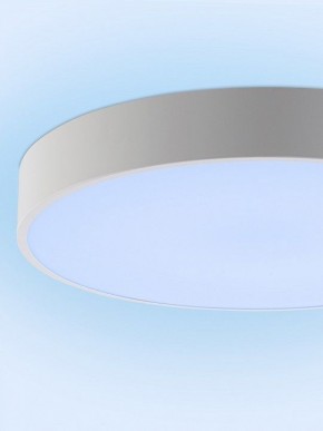 Накладной светильник Natali Kovaltseva MODERN LED LAMPS 81105/1C в Красноуральске - krasnouralsk.ok-mebel.com | фото 11