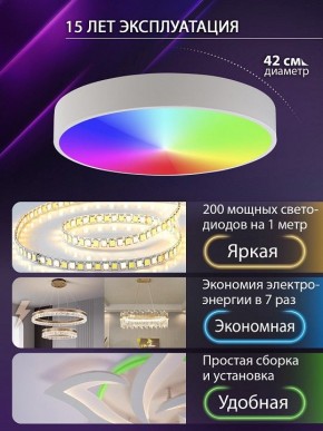 Накладной светильник Natali Kovaltseva MODERN LED LAMPS 81105/1C в Красноуральске - krasnouralsk.ok-mebel.com | фото 6