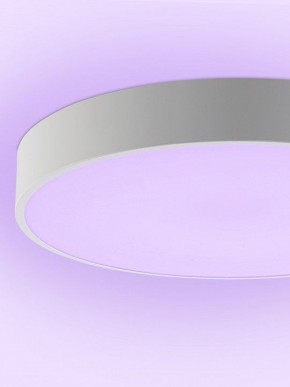 Накладной светильник Natali Kovaltseva MODERN LED LAMPS 81105/1C в Красноуральске - krasnouralsk.ok-mebel.com | фото 9